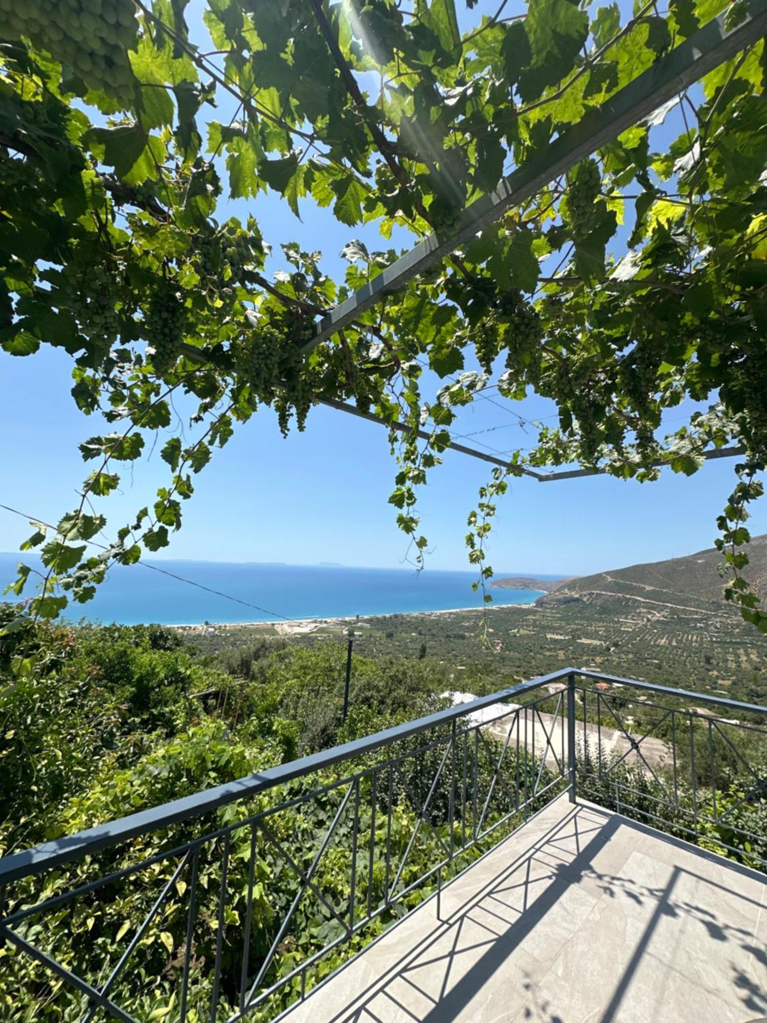 Villa Ani Borsh Exterior photo